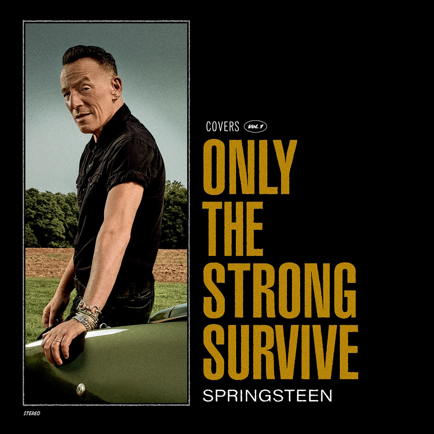 Bruce Springsteen "Only The Strong Survive"