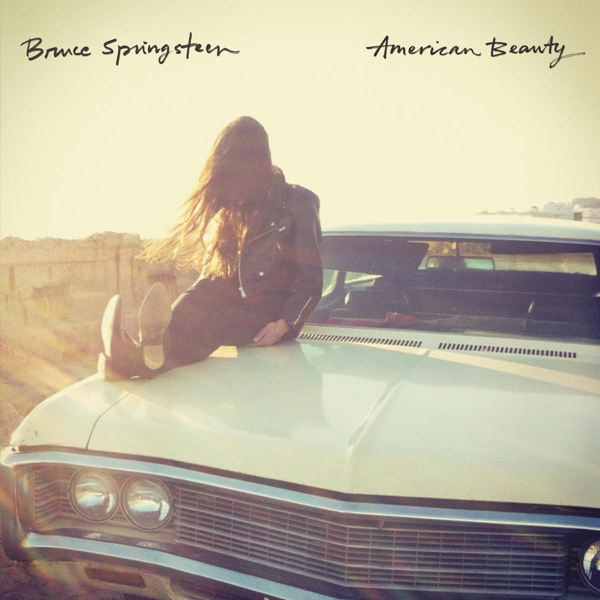 Bruce Springsteen "American Beauty" (2014)