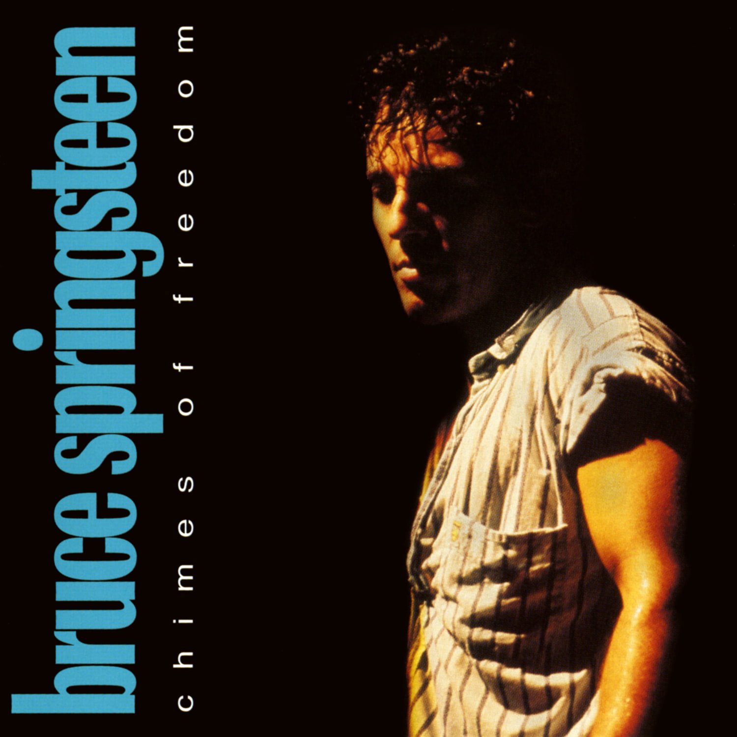 Bruce Springsteen Chimes of Freedom