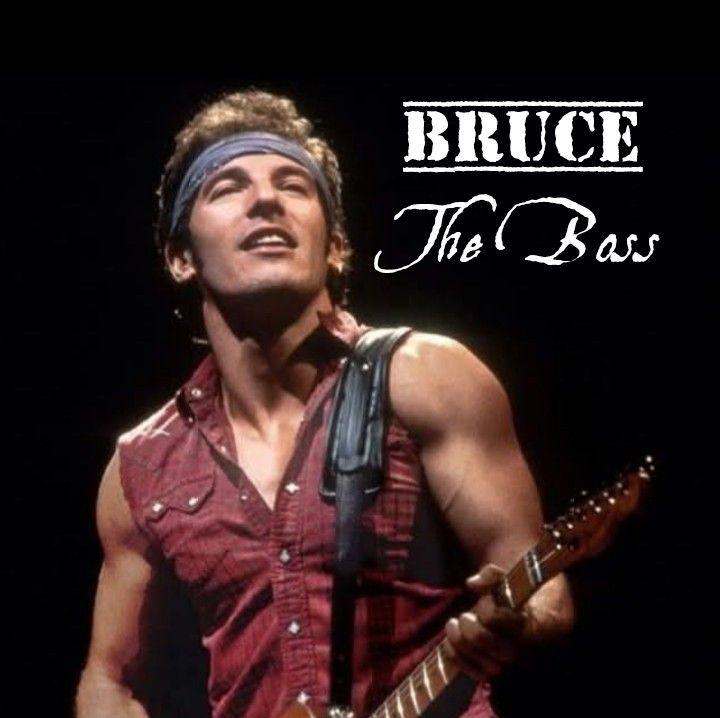 Bruce The Boss
